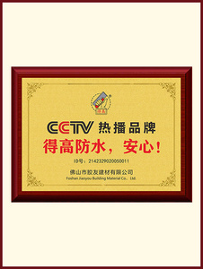 CCTV热播品牌